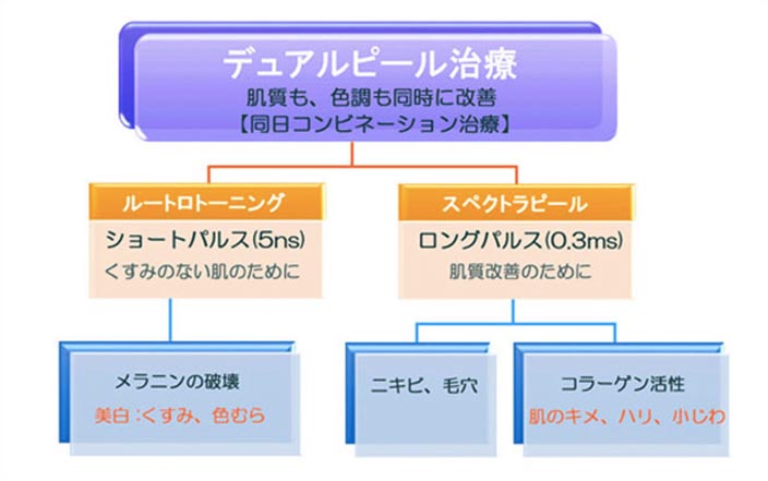 デュアルピールとは？