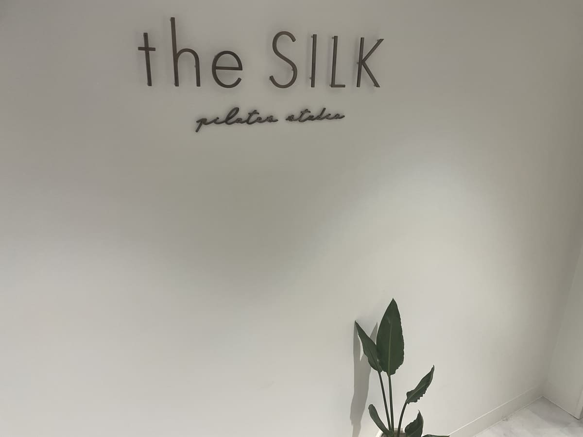 thesilk